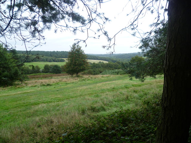View from Kings Standing Clump, Ashdown Forest