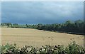 Arable land north of Scot