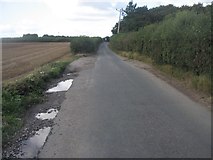 SU5648 : Rutted passing spot - Trenchard Lane by Mr Ignavy