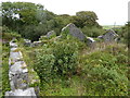 Overgrown buildings at the Clay dry