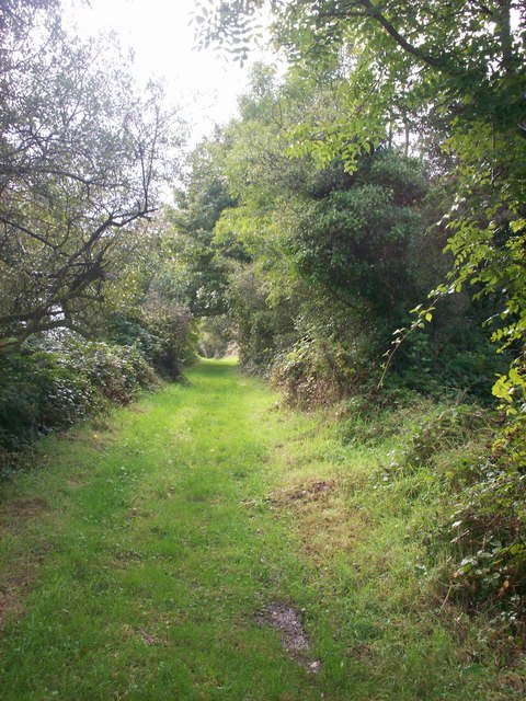 Grassy Lane, Llanteg