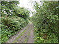 SW4936 : Lane near Tregarth by David Medcalf