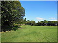 Oak Road playing fields, Hull