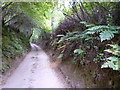 Lane at Luckwell Bridge