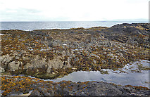 NM5271 : Intertidal Rocks by Anne Burgess