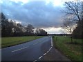 Ockley Road, Forest Green