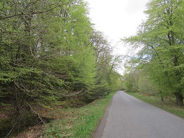Roman road, Gask ridge