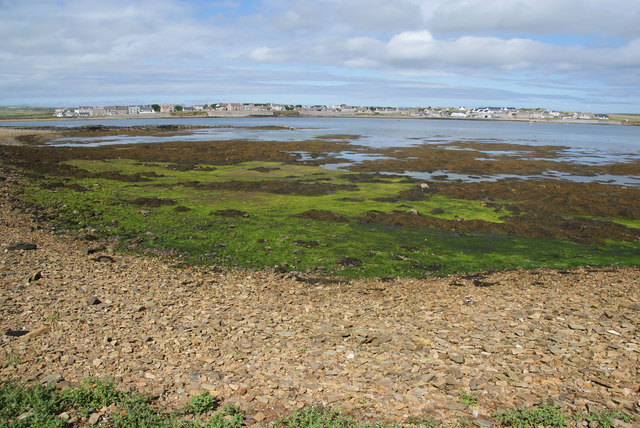 Green seaweed on Skaildaquoy Point