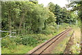 Railway Line to Paisley