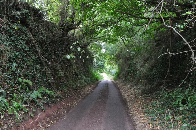 Teignbridge : Country Lane