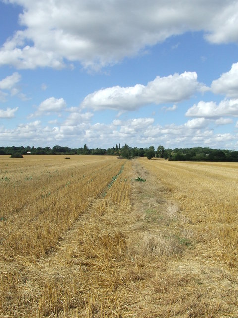 Harvested Fields