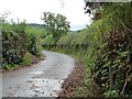 The road to Llanfair Kilgeddin