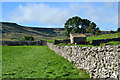 SE0261 : Towards Burnsall & Thorpe Fell by Peter Barr