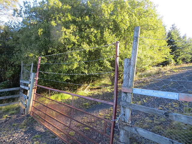 Moor Plantation gate