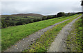 Farm access road leading to Gwern-yr-ewig