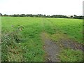 Vehicle tracks across farmland