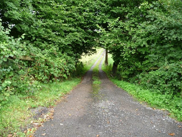 Steep access track, north of the Nant-y-derry road