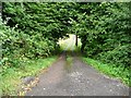 Steep access track, north of the Nant-y-derry road