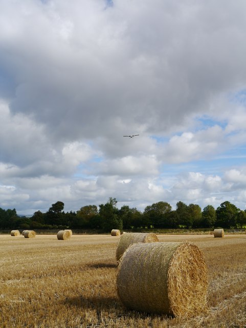 Baled Field On The Approach To Glasgow Airport