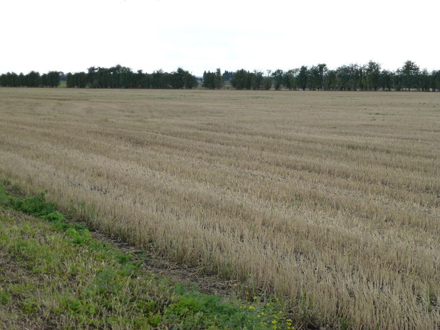 Stubble field on Richer's Drove, Whittlesey