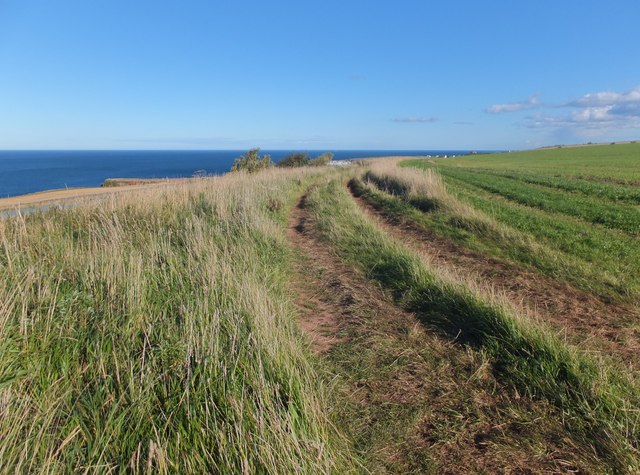 Track to Eyemouth
