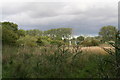 Tetney Blow Wells Nature Reserve