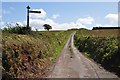 Mid Devon : Bidwell Cross