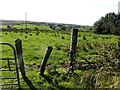 Mulnagoagh Townland