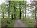 Driveway, Drummond Castle