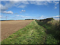 Public footpath towards Bamburgh