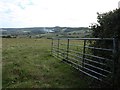 Grazing field south of Cuckoo Green