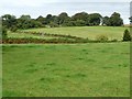 Farmland east of Yew Tree Farm