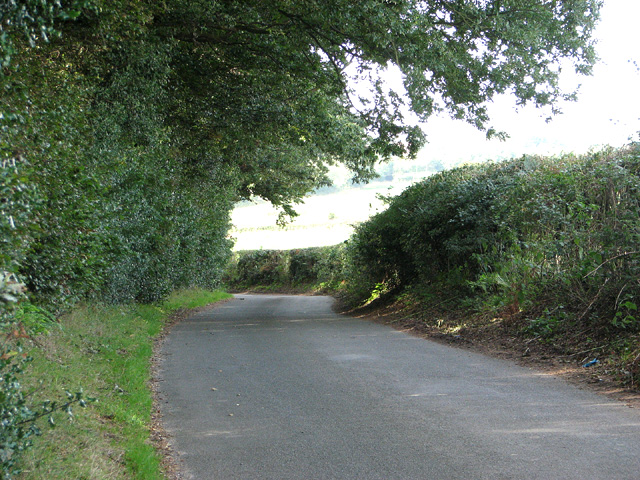 Lane past Little Wood