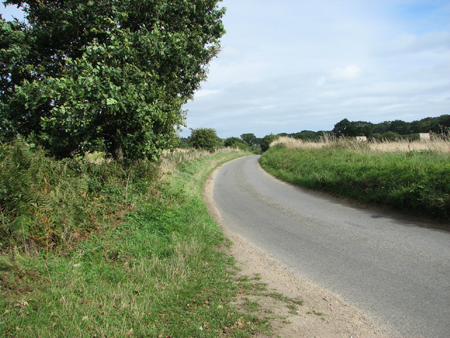 Bend in rural lane