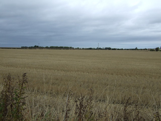 Farmland near New Winton