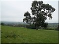 The Limestone Way near Rocester