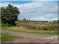 View Towards Woodland near Norbury