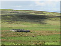 NT8801 : Sheepfold north of Durtrees Burn (2) by Mike Quinn