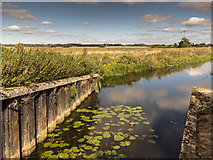 TL4971 : Great Ouse from Chear Fen pumping station by Kim Fyson