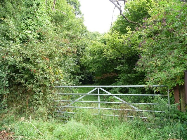 Gated track into Pentre-waun Wood
