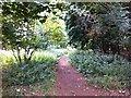 Bridleway to Upper Harlestone