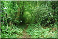 Footpath near Riverdell Farm