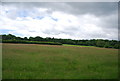 Farmland, Riverdell Farm