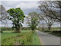 Road near Greenhall