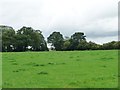 Farmland south of Cilwerg