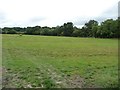 Sheep pasture, east of Lower Prescoed