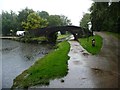 SO2900 : Bridge 52 on a rainy afternoon by Christine Johnstone