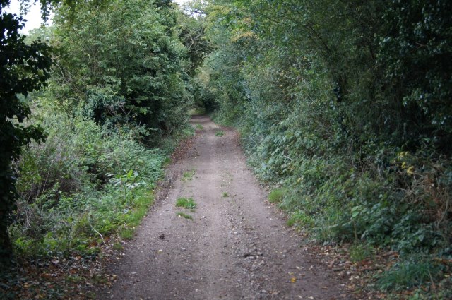 The Harrow Way (track) © Mr Ignavy Cc-by-sa/2.0 :: Geograph Britain And ...