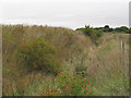 Ditch between flood defence and arable land