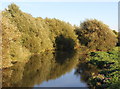 River Rother at Treeton